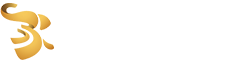 象舞广告